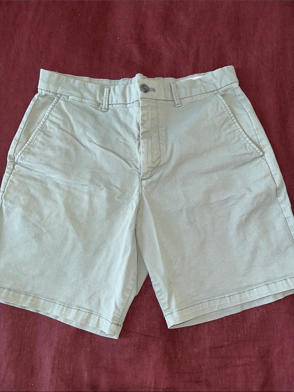 GAP Men's Light Green Flat-Front Cotton Shorts